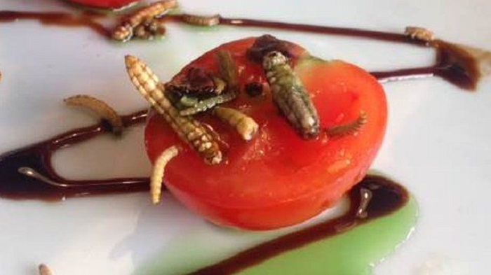 How eating insects could help climate change